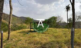 Imagem 8: Fazenda de 17 alq em Goias-GO