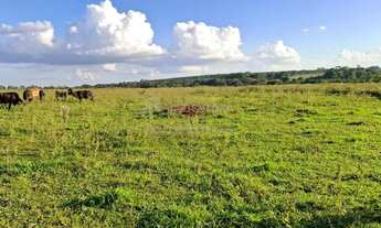 Imagem 6: Sitio Barra Funda 1 encravado na Fazenda Barra Funda - Município de Ipiguá