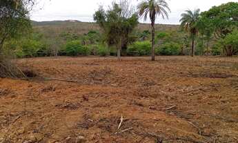 Imagem 2: Área 125 Hectares/Em Moc/Ideal pra dividir em sítios menores...Aceita veículo ou imóvel.