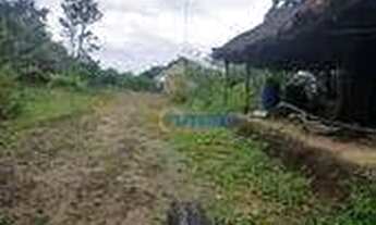 Imagem 7: Chácara com 37 Hectares em Mambaí