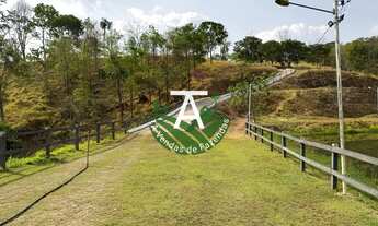 Imagem 9: Fazenda de 17 alq em Goias-GO