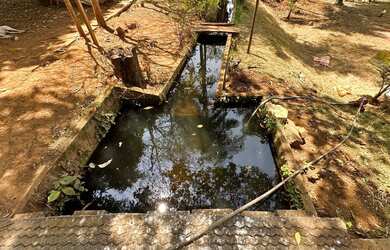 Imagem 7: Chácara de 4.5 alqueires