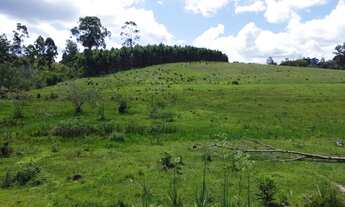 Imagem 3: 3 hectares Capela de santana