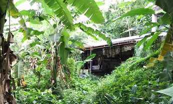 Imagem 3: Terreno-À VENDA-Taquara-Rio de Janeiro-RJ