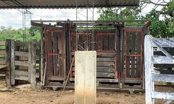 Imagem 3: Fazenda 52 alqueires, Uruaçu-Go