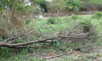 Imagem 7: Terreno Padrão em Bauru