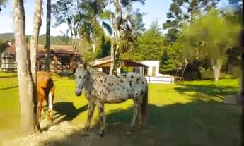Imagem 7: Imóvel para venda possui 500 metros quadrados em Centro - Bocaiúva do Sul - PR