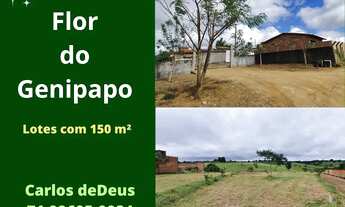 Imagem: Flor do Genipapo, lotes com 150 m², vista