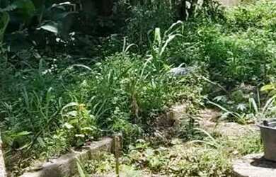 Imagem 5: Lote em Estrada da Boca do Mato - Vargem Pequena - Rio de Janeiro/RJ