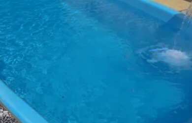 Imagem: Vendo no casa Morada dos Bosques 1 Iguaiba