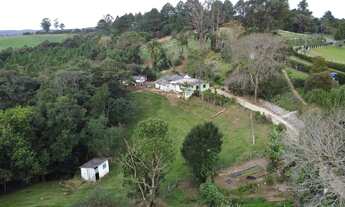 Imagem 6: Chácara urbana Campo Largo, Sereia/Rondinha, 12.557m²,casa caseiro, asfalto, 20 min Parque
