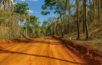 Imagem 4: Imóvel para venda tem 65900 metros quadrados em Terra Preta (Terra Preta) - Mairiporã - SP