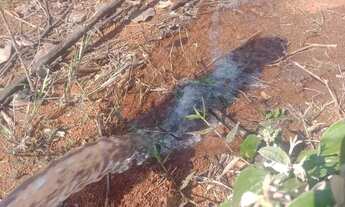 Imagem 7: Vendo chácara excelente localização