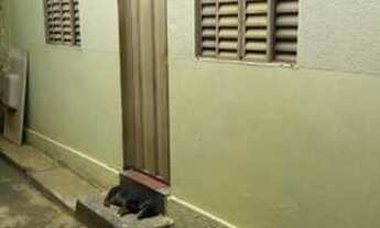 Imagem 4: Aluga-Se casa no Jardim das oliveiras