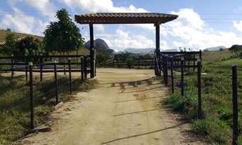 Imagem 2: Terra em Barra de São Francisco com 4500 pés de Café