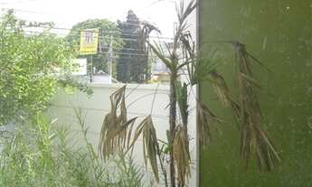 Imagem 7: SALA COMERCIAL em CAMPINAS - SP, TAQUARAL