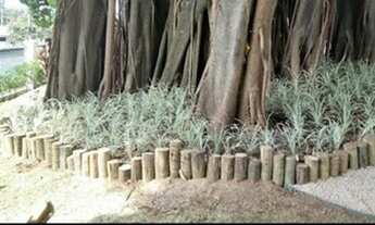 Imagem 6: Apartamento venda 80 metros 3 quartos sendo 1 suite 2 vagas Ponte Preta - Campinas - SP