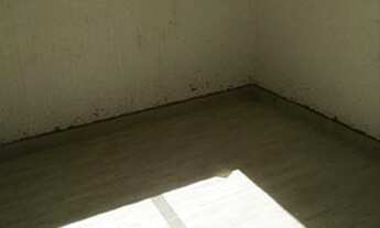 Imagem 7: Cobertura Residencial à venda, Letícia, Belo Horizonte - CO0776