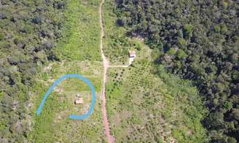 Imagem: Fazenda com 3000 hectares em Presidente