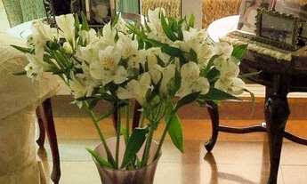 Imagem 6: Casa com 5 dormitórios à venda, 400 m² por R$ 2.950.000,00 - Residencial Onze (Alphaville