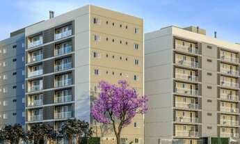 Imagem 6: PELOTAS - Padrão - Três Vendas