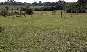 Imagem 2: Sítio / Área de 5 hectares frente para a RS040 na região de Águas claras, Viamão