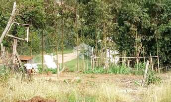 Imagem 4: BENTO GONçALVES - Terreno Padrão - Caminho da Eulália