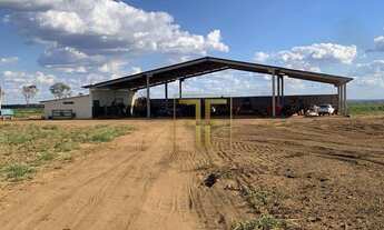 Imagem 3: Fazenda 5.570 Hectares, Balsas, MA