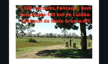 Imagem: Fazenda 1.150,00 Hectares, Montada, excelente