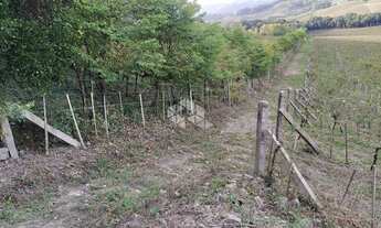 Imagem 3: GARIBALDI - Chácara - Vale Dos Vinhedos