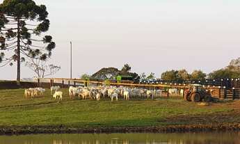 Imagem 6: PRUDENTÓPOLIS - RURAL - Zona Rural