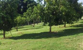 Imagem 7: Excelente Sítio para venda possui 20.000 metros quadrados