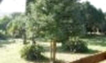 Imagem 3: Porto Alegre - Sítio - Vila Nova