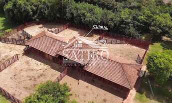 Imagem 6: EXCELENTE FAZENDA : PARA INVESTIDORES ....