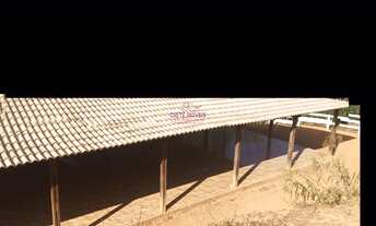 Imagem 5: FAZENDA 13 HECTARES