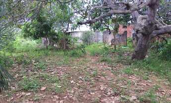 Imagem 5: Lote/Terreno para venda tem 10000 metros quadrados em Vida Nova - Lauro de Freitas - BA