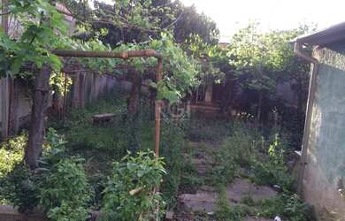 Imagem 4: Porto Alegre - Casa Padrão - Medianeira