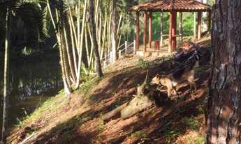 Imagem 5: Sítio com Renda garantida em Guaviruva - Registro - SP