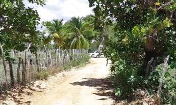 Imagem 6: Terreno no Povoado Gameleira/ Areia Branca - Mosqueiro