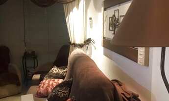 Imagem 5: Porto Alegre - Apartamento Padrão - Partenon