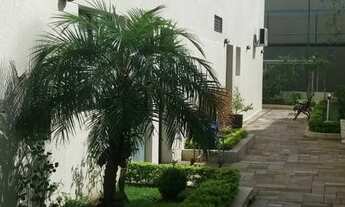 Imagem 7: Apartamento Padrão para Aluguel em Belenzinho São Paulo-SP - 271