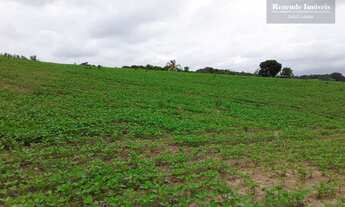 Imagem 4: Área Industrial à venda, 852244 m² por R$ 40.000.000 - Butiatuva - Campo Largo/PR