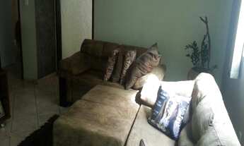 Imagem 3: Residencial - Pq Fehr