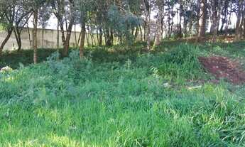 Imagem 4: Lote/Terreno para venda possui 360 metros quadrados em Marechal Floriano - Caxias do Sul