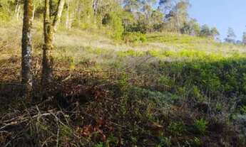 Imagem 4: Vendo , sítio 140 mil em Marechal Floriano