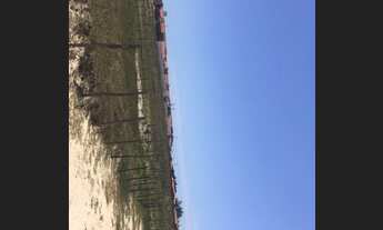 Imagem 4: Terreno Luiz Correia