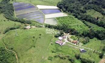 Imagem 6: Fazenda à venda, Área Rural de Curitiba, Curitiba, PR