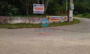 Imagem: NíSIA FLORESTA - Padrão - Pirangi Do Sul