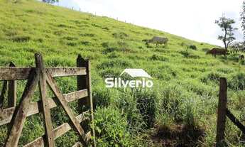 Imagem 3: Chácara na Zona Norte