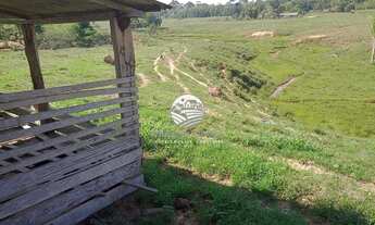 Imagem 6: Ariquemes - Sítio - 10 alqueires